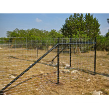 China best selling exporter field fence/ cattle fence/ farm fence